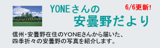 YONE����̈��ܖ삾���