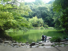 写真１